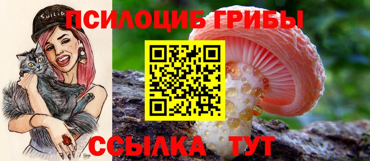Донецк  наркота  Вход с VPN  Псилоцибиновые грибы прущие грибы 
